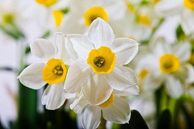 肉鸽FPS《Battle Shapers》发布新预告 10月发售